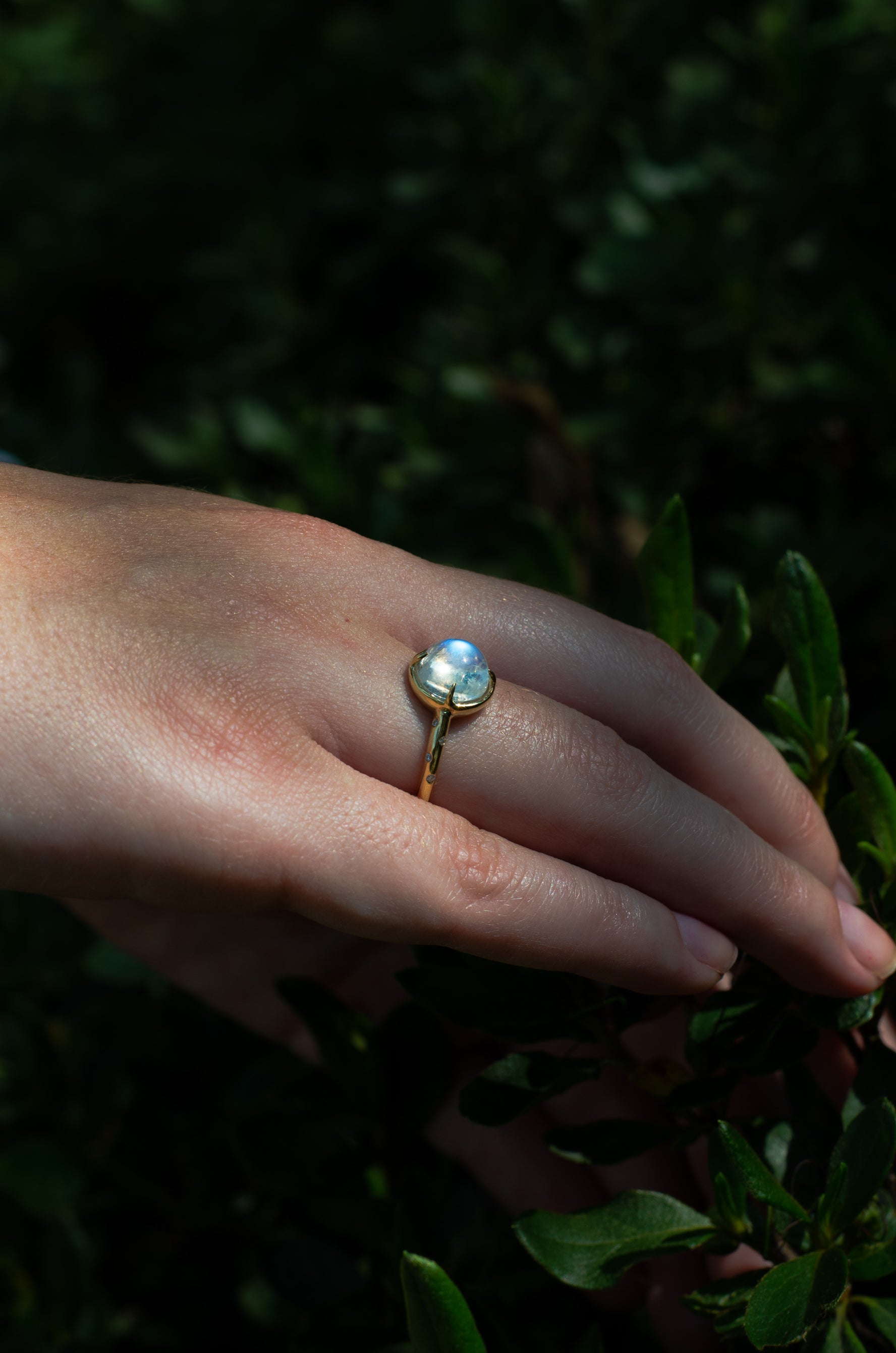 14k Moonstone Ring with a Diamond Dotted Band